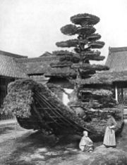 THE PINE-TREE JUNK AT KINKAKUJI In lotus-land Japan, 1910 by H.G.Ponting